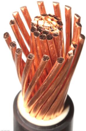 µçÀÂ.jpg µçÀÂ.jpg