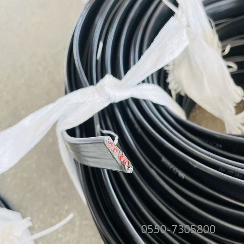 特种电缆.99.jpg 特种电缆.99.jpg