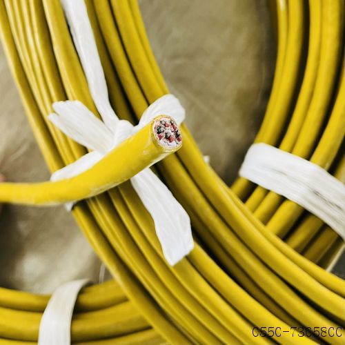 IMG_7707.jpg IMG_7707.jpg