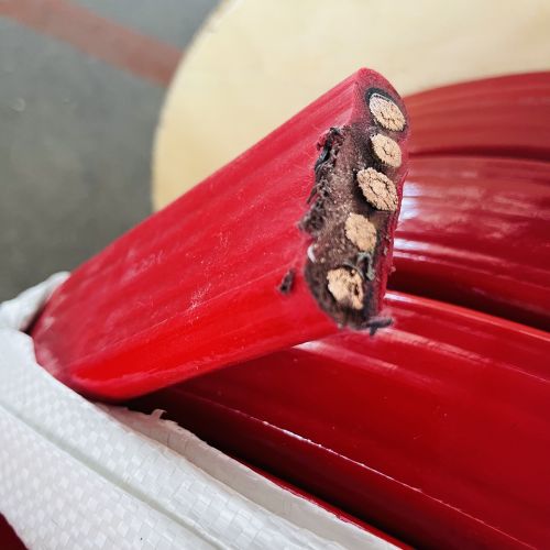 IMG_2345.jpg IMG_2345.jpg