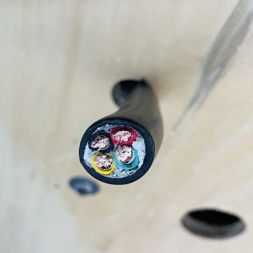 IMG_9527.jpg IMG_9527.jpg