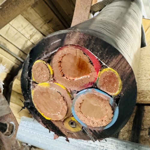 IMG_1909.jpg IMG_1909.jpg