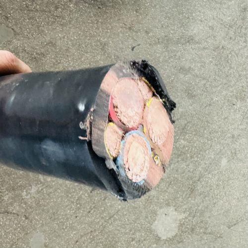 IMG_1881.jpg IMG_1881.jpg