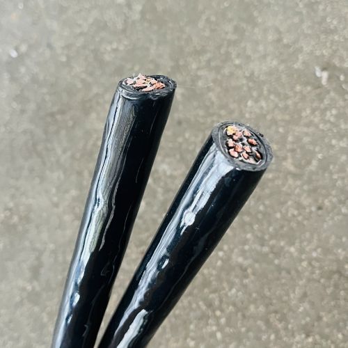 IMG_8529.jpg IMG_8529.jpg