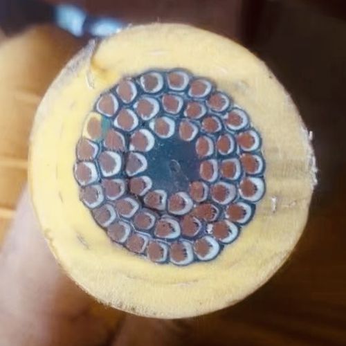 IMG_8065.jpg IMG_8065.jpg