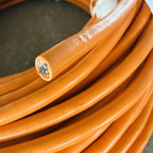 IMG_2521.jpg IMG_2521.jpg