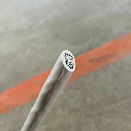 IMG_1656.jpg IMG_1656.jpg