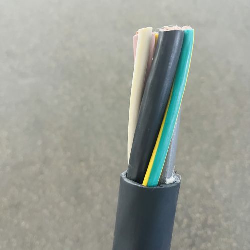 IMG_5309.jpg IMG_5309.jpg