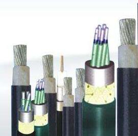 918博天堂(й)ٷվ