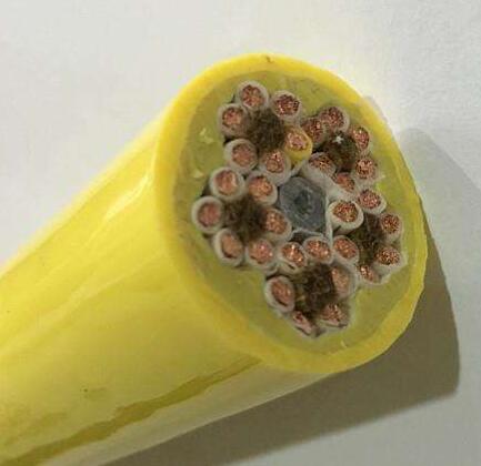 918博天堂(�й���)�ٷ���վ