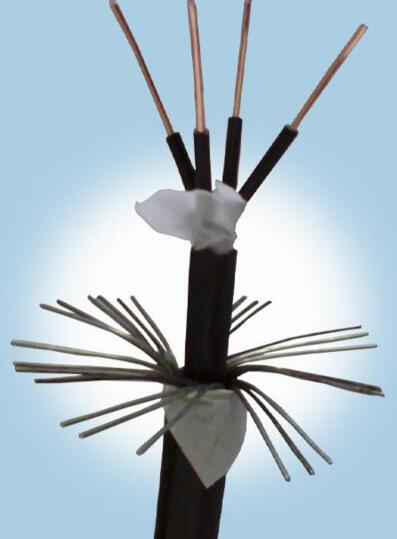 918博天堂(й)ٷվ