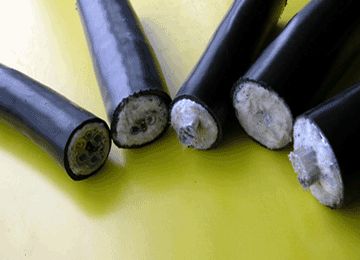 918博天堂(й)ٷվ