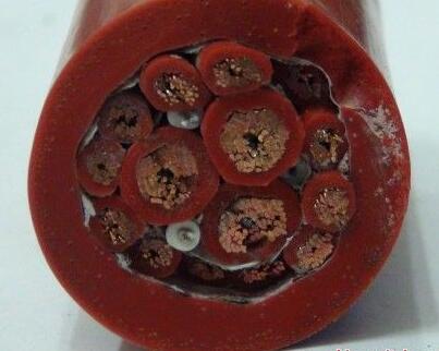 918博天堂(й)ٷվ