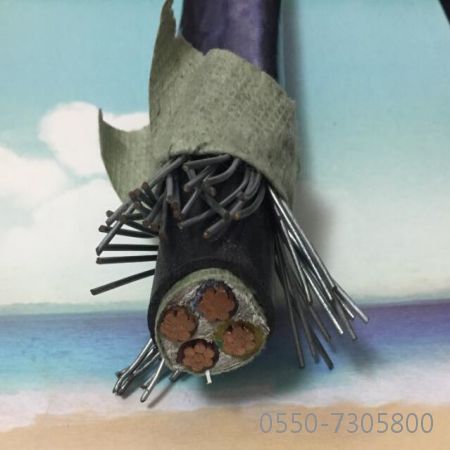 918博天堂(й)ٷվ