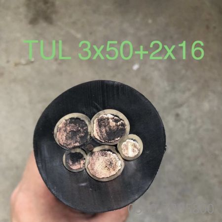 918博天堂(й)ٷվ