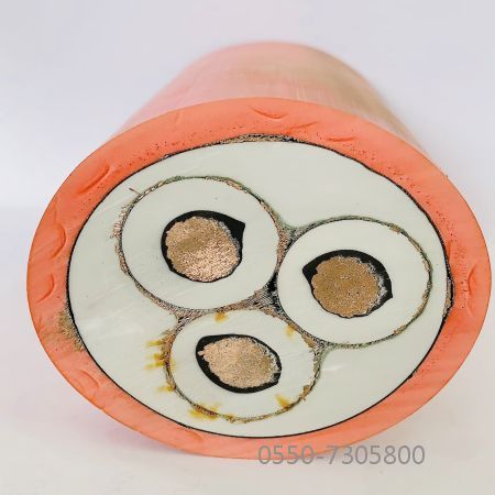 918博天堂(й)ٷվ