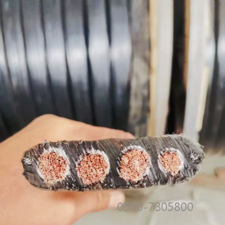 918博天堂(й)ٷվ