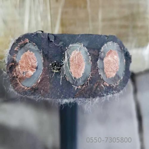 918博天堂(й)ٷվ