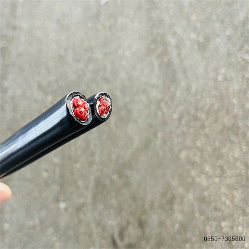 918博天堂(�й���)�ٷ���վ