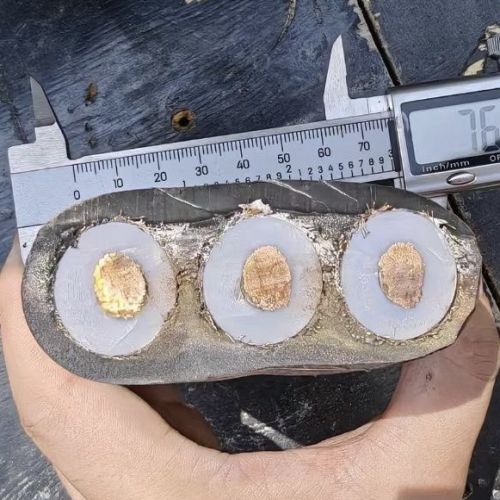 918博天堂(й)ٷվ