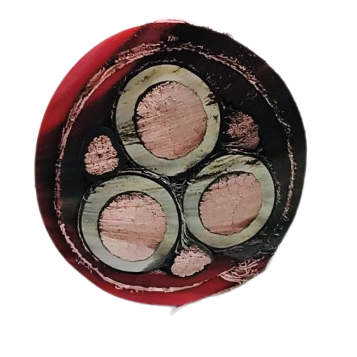 918博天堂(й)ٷվ