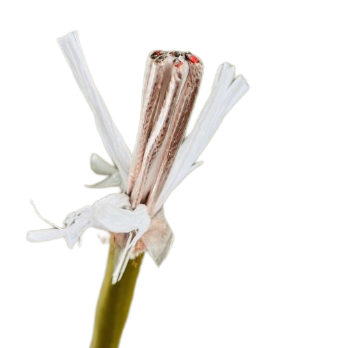 918博天堂(й)ٷվ