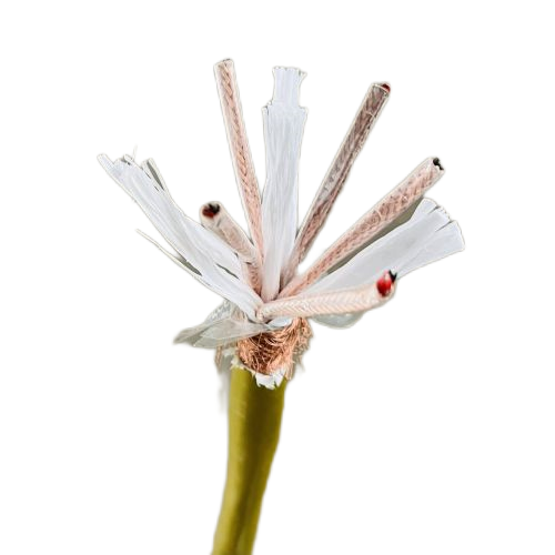 918博天堂(й)ٷվ