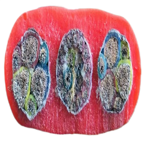 918博天堂(й)ٷվ