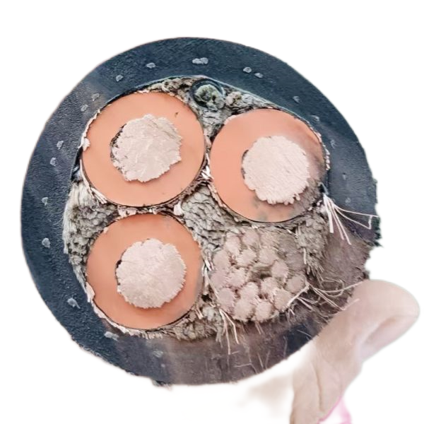 918博天堂(й)ٷվ