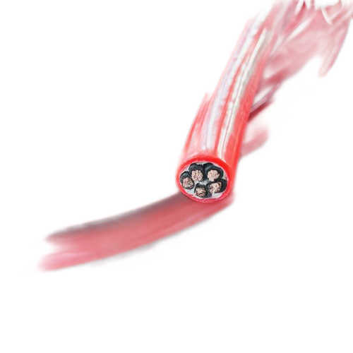 918博天堂(й)ٷվ