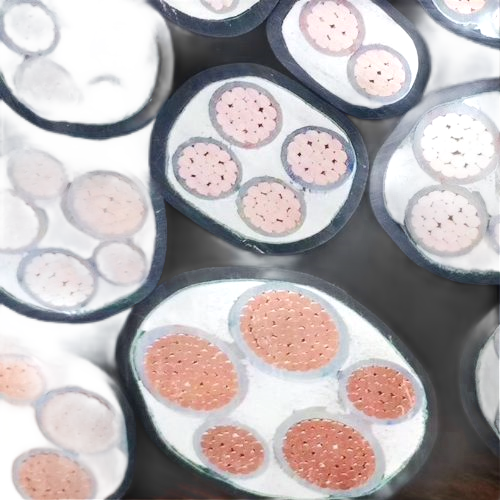 918博天堂(й)ٷվ