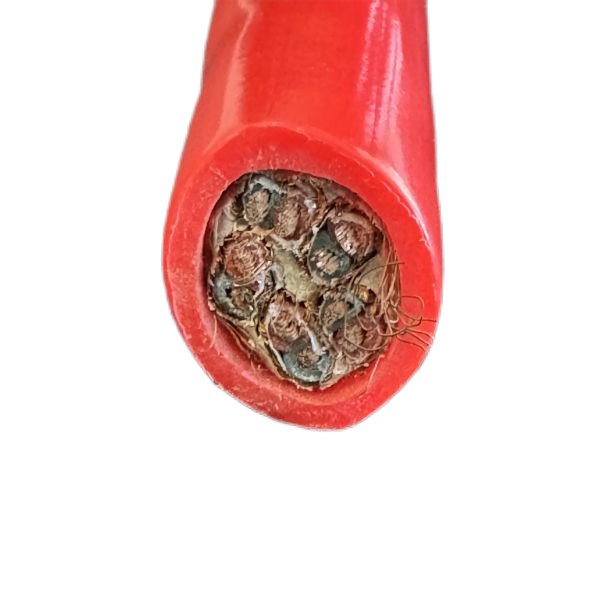 918博天堂(й)ٷվ