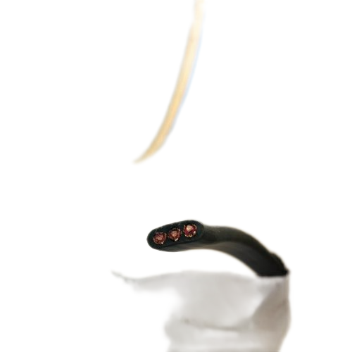 918博天堂(中国区)官方网站