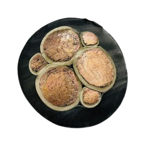 918博天堂(中国区)官方网站