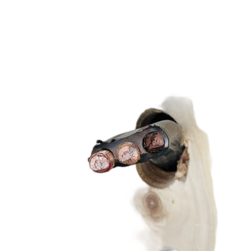 918博天堂(й)ٷվ