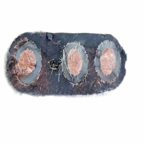 918博天堂(й)ٷվ