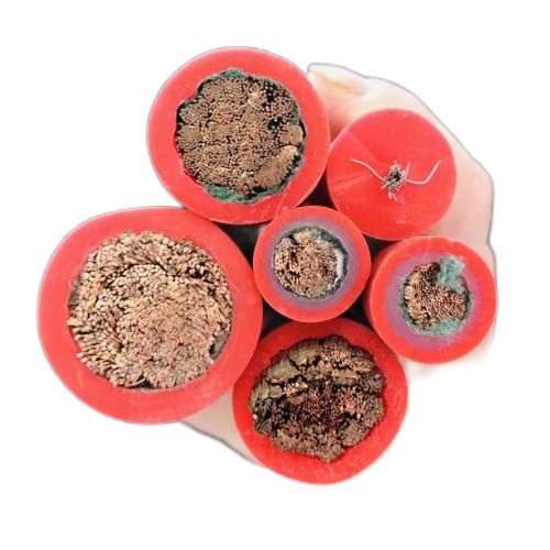 918博天堂(中国区)官方网站