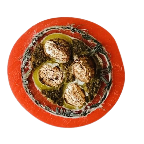 918博天堂(中国区)官方网站