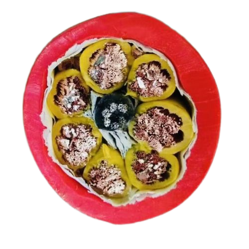 918博天堂(й)ٷվ