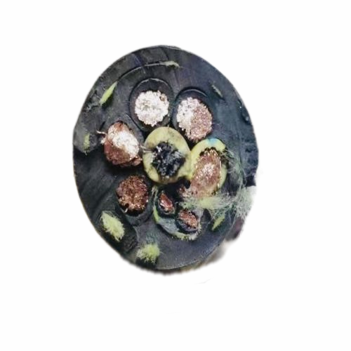 918博天堂(й)ٷվ