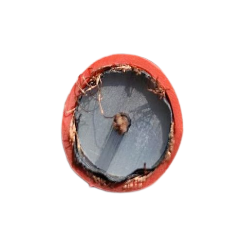 918博天堂(й)ٷվ