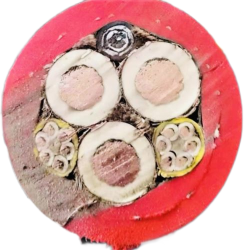 918博天堂(й)ٷվ