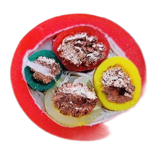 918博天堂(й)ٷվ