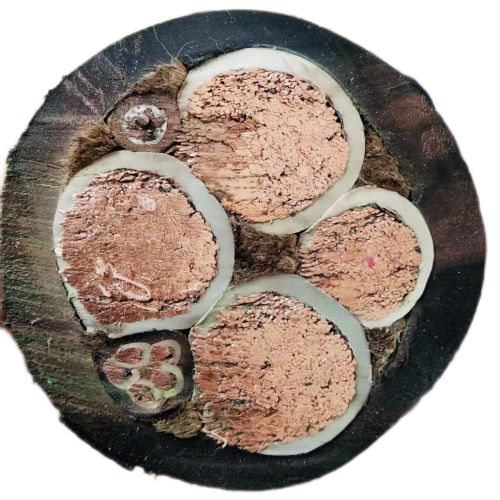 918博天堂(й)ٷվ