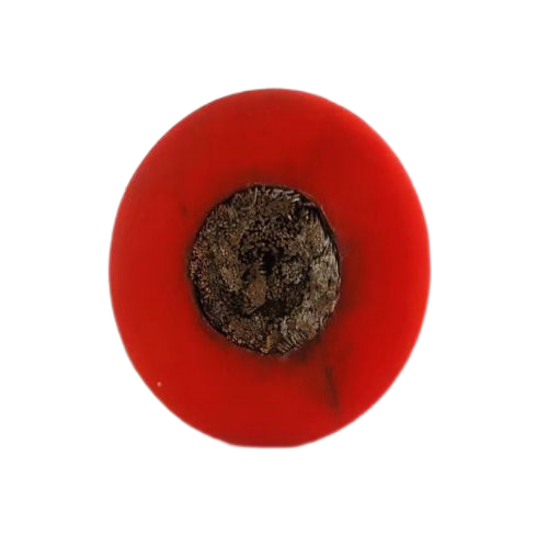 918博天堂(й)ٷվ